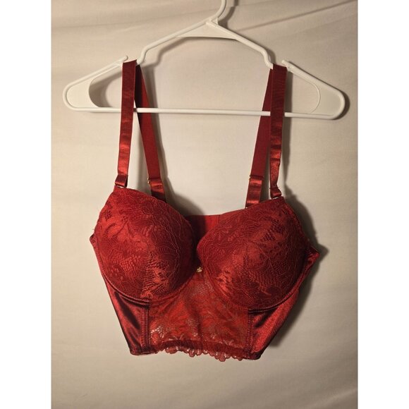 Daisy Fuentes red Hot as Hell Lace Bra Underwire Molded Cups 40D Plus Womens - Picture 1 of 2